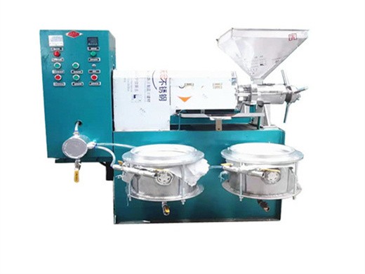 Máquina automática de prensa de aceite Extractor de aceite de oliva extractor de nueces