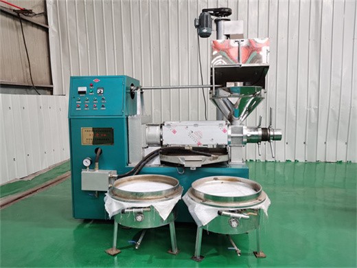 línea de producción completa máquina de procesamiento de aceite de cacahuete tailandia