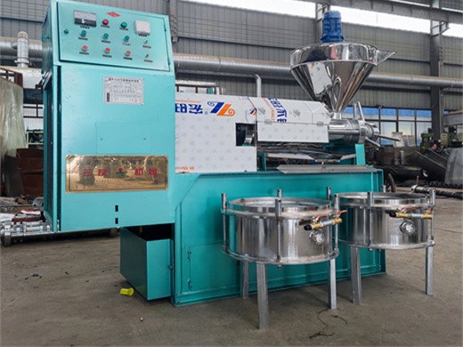 máquina de prensa de aceite prensa de aceite de soja comercial 3 – 6 kg/hr