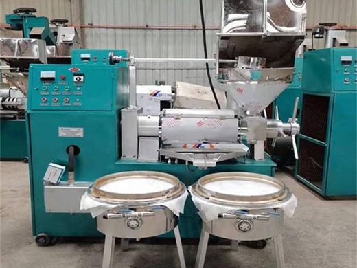 Máquina de prensado de aceite modelo automático honduras Cuba