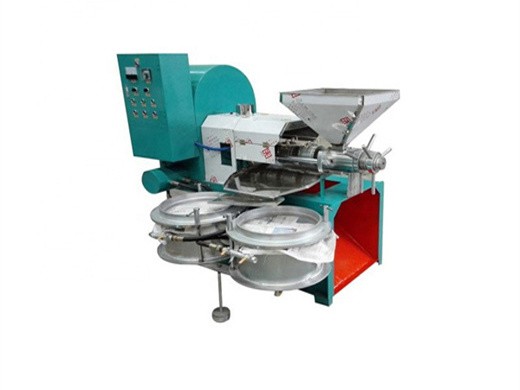 Máquina automática de prensa de aceite bmgiant industrial Costa Rica