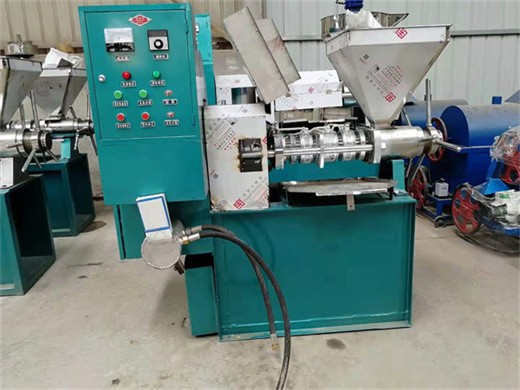 máquina de extracción de prensa de aceite comestible fabricante de China