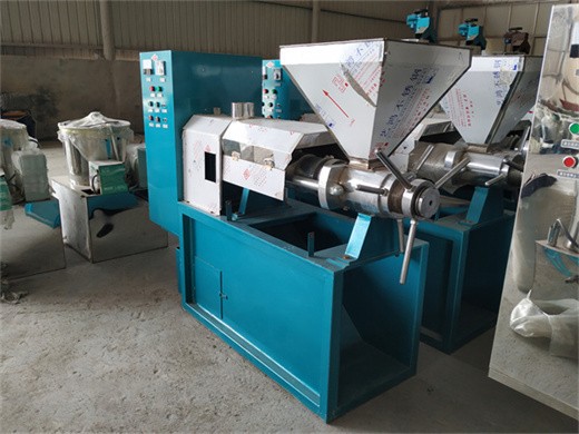 máquina de extracción de aceite de semilla de prensa hidráulica Paraguay