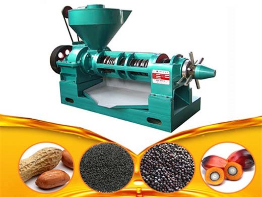 máquina de prensa de aceite de frijol de tornillo comercial