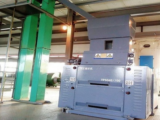 máquina de extracción de aceite de prensa en frío de venta caliente Perú