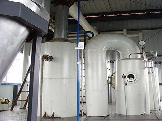 Máquina de extracción de aceite de soja filipina tornillo frío Guatemala