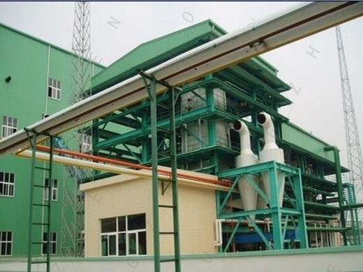 Línea de producción de prensa de aceite grande de 1-3 tpd