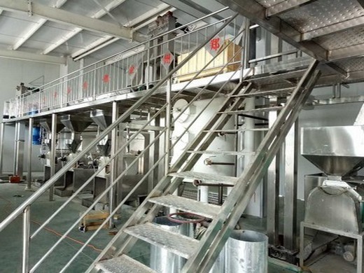 Máquina de procesamiento de aceite de girasol 1tph ise Guatemala