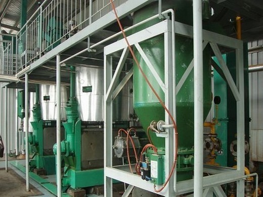 Prensa hidráulica automática de aceite de semilla de algodón maquinaria Países Bajos