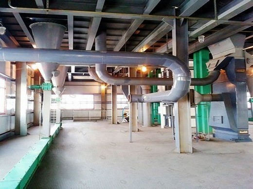 Máquina de aceite de prensa en frío grande 2023 para aceite de sésamo Filipinas
