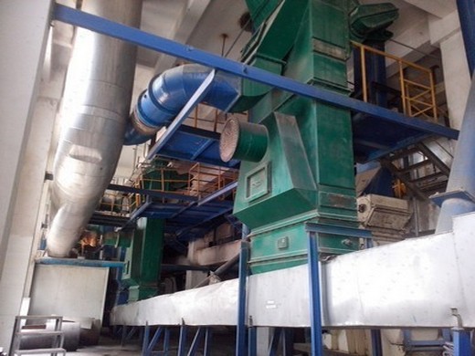 Máquina de extracción de aceite de sésamo 6yl-120 aceite de prensado en frío Chile