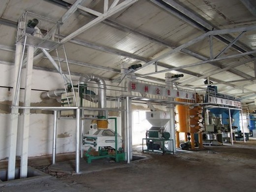 Máquina de extracción de aceite de ricino de China con alta producción