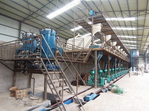 30-50tpd máquina de producción de aceite de colza automática Tobago