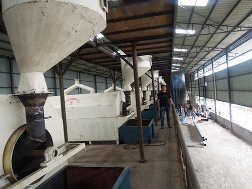fabricante de máquinas de prensa de aceite de mostaza refinada Belice