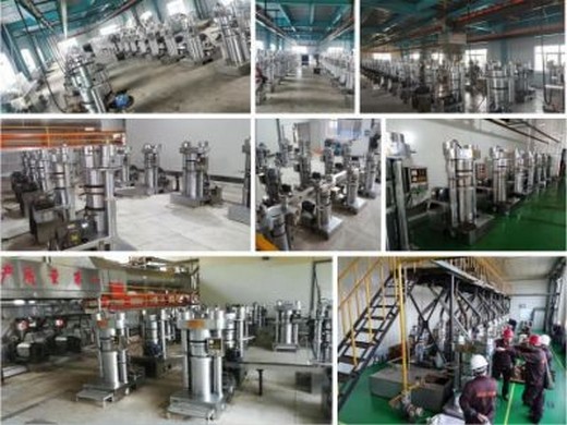 Gran equipo de molino de refinación de aceite de salvado de arroz Filipinas
