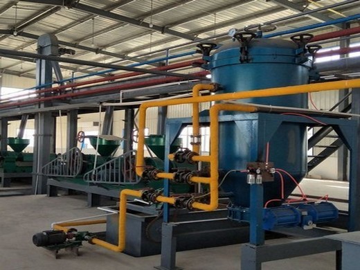 Máquina de prensa de aceite/centrifugadora de prensa de aceite con fábrica Canadá