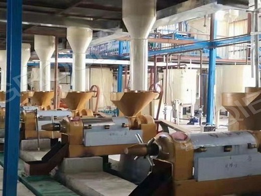 Máquina de extracción de prensa de aceite de soja en frío de alta calidad