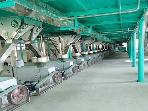 equipo de fermentación planta procesadora de aceite myande Guinea Ecuatorial
