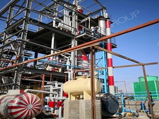 línea de producción de prensa de aceite de colza de sésamo