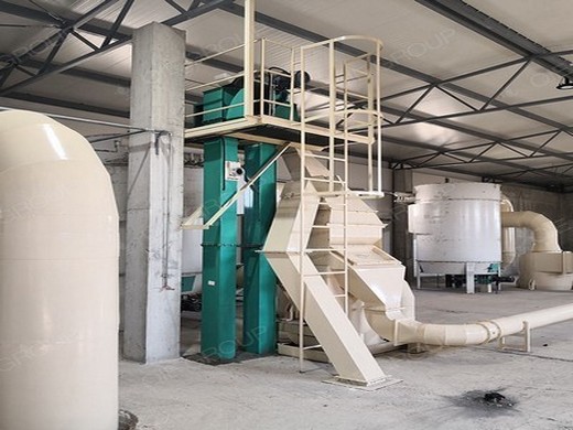 En Djibouti, máquina de prensado de aceite de cacahuete grande de alto estándar