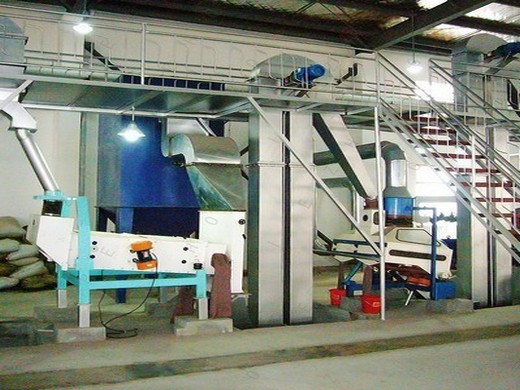 planta de taller de prensa de aceite línea de producción de aceite de semilla de girasol