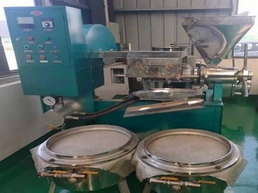 Máquina de prensa de aceite de cocina de acero al carbono Paraguay