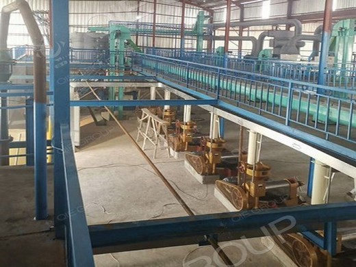 Pequeña máquina hidráulica de prensa de aceite de nueces España