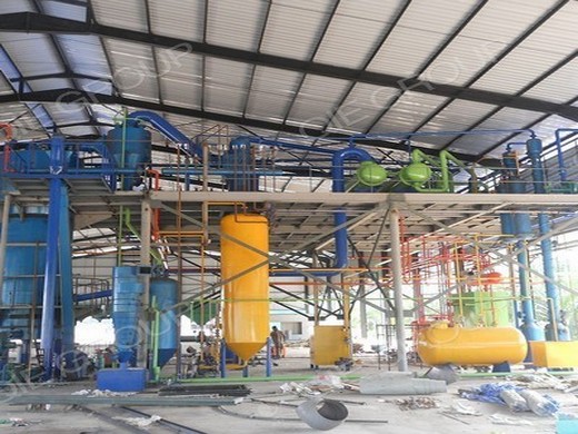 prensa de aceite hidráulica vertical planta de aceite de prensa en frío Guinea Ecuatorial