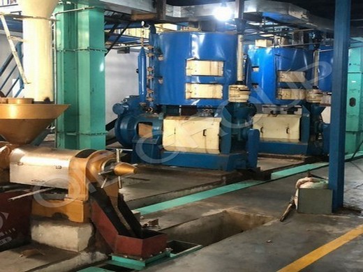 Gran máquina de extracción de aceite prensa de aceite extrusora de aceite México