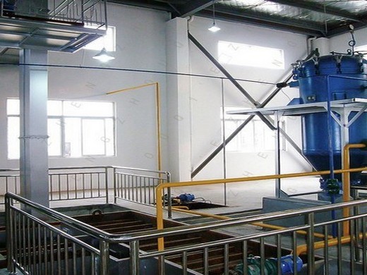 Máquina de prensa de aceite comestible de China de 200 kg/h México