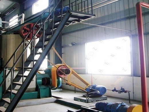 Máquina de prensa de aceite en frío de girasol de China de 100 kg/h Ecuador