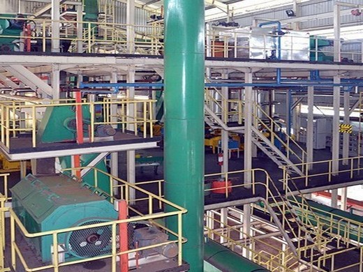 proveedores de máquinas de aceite de coco exportadores Belice