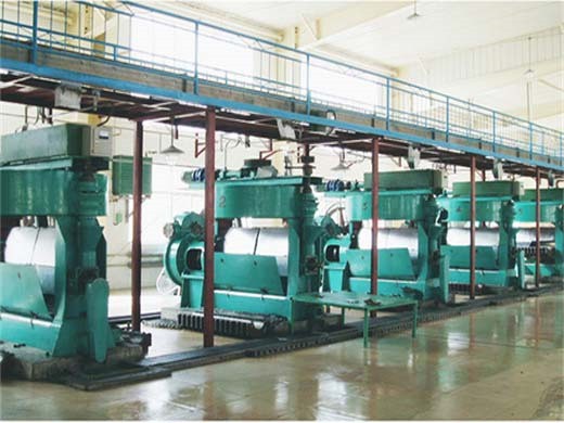 Máquina de prensado de aceite de tipo automático/máquina de prensado de aceite Filipinas