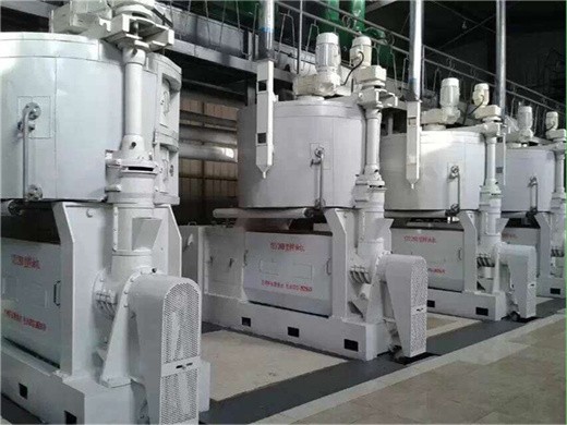 prensa de aceite de sésamo hidráulica automática hl