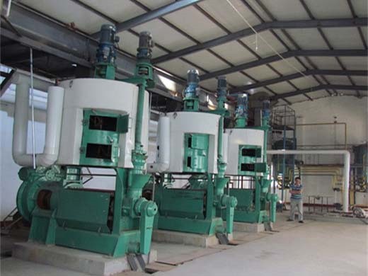Máquina de procesamiento de aceite de salvado de arroz 1-3tpd