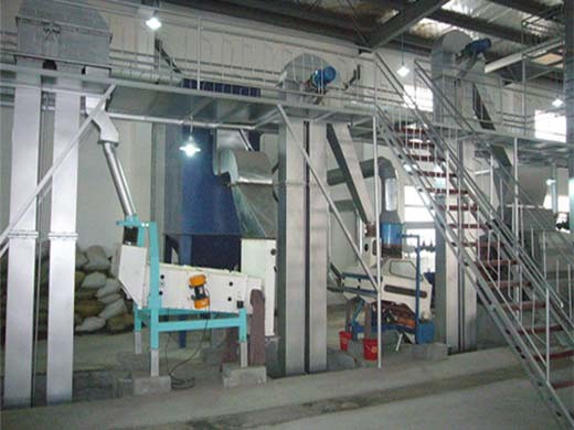 Máquina de prensa de aceite hidráulico de China Prensa de aceite hidráulico de China