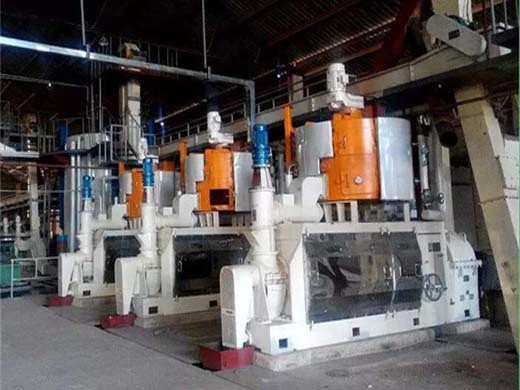 Máquina de prensa de aceite de semilla de algodón oliva cacahuete colza Venezuela