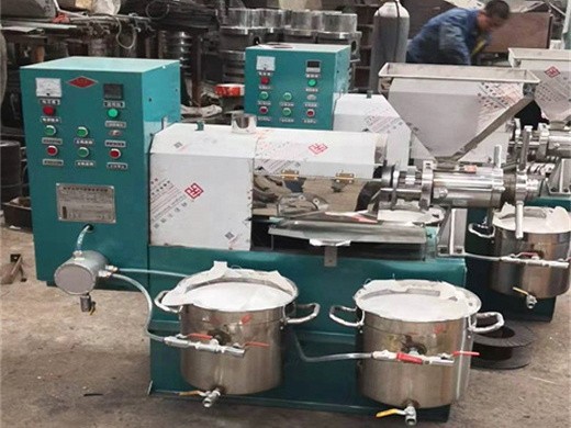 Máquina de prensado de aceite hidráulico de sésamo de 200kg/por lote, venta