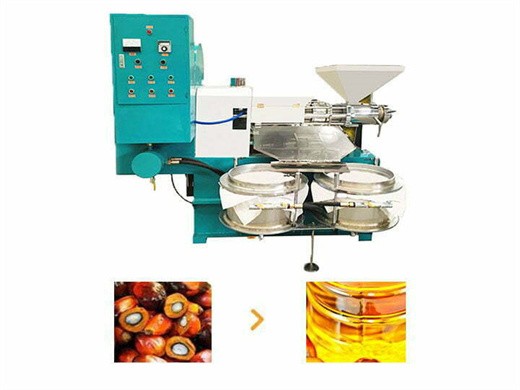 6yl-68 prensa de aceite comestible aceite de nueces de karité de girasol de palmiste