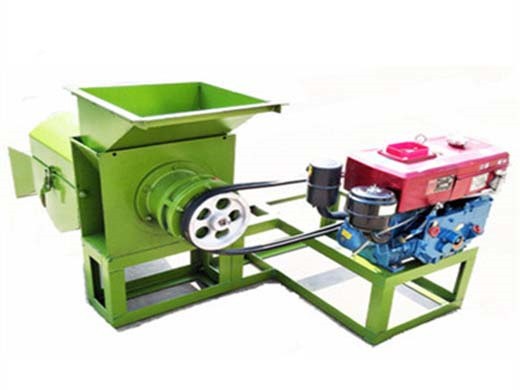 Máquina de prensa de aceite de palma hecha en fábrica de China