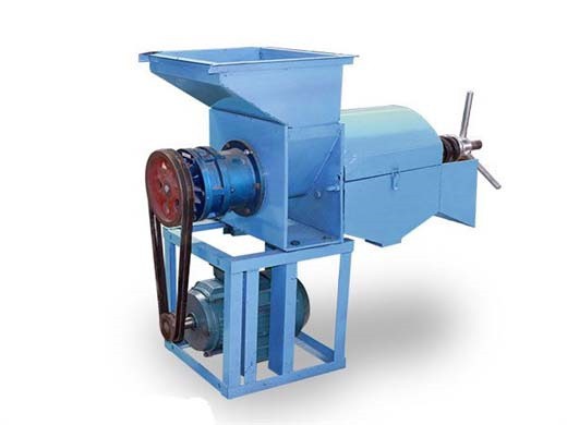 Máquina de prensado de aceite de palmiste procesamiento de aceite de palma Argentina