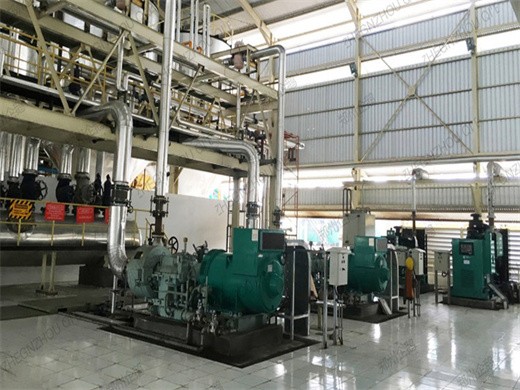 planta de refinería de aceite de palma/fabricación de aceite de cocina Belice