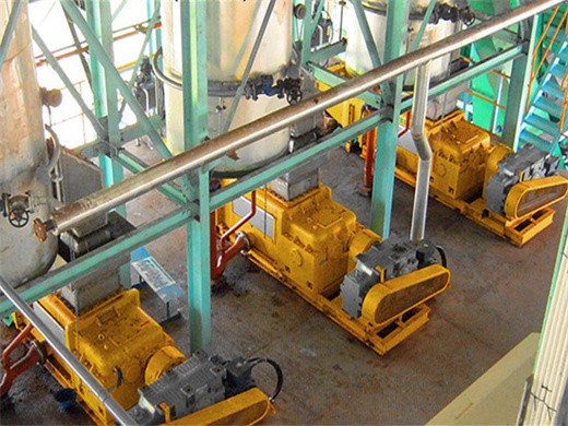procesamiento de aceite de palma crudo – máquina de extracción de aceite de palma