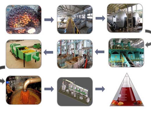 procesamiento de la máquina de pretratamiento del proyecto de molino de aceite de palma