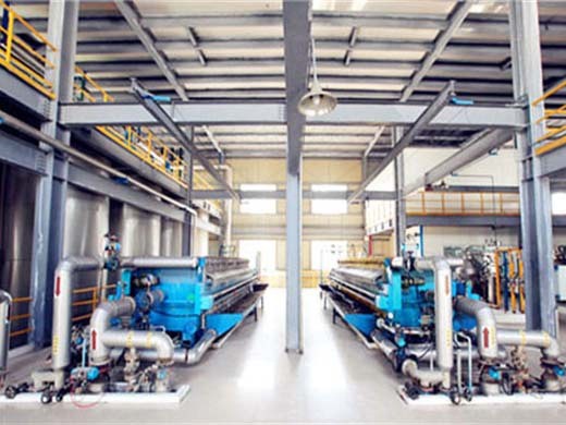 maquinaria de prensa de aceite de almendra de palma para la extracción de aceite de palma