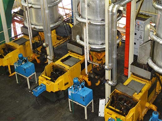 maquinas industriales para extraer aceite vegetal de palma