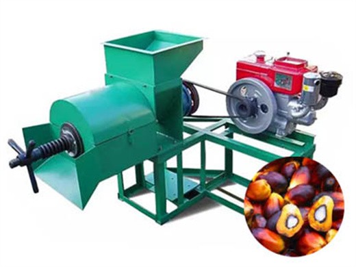 Máquina extractora de aceite de palma de 200 kg/h