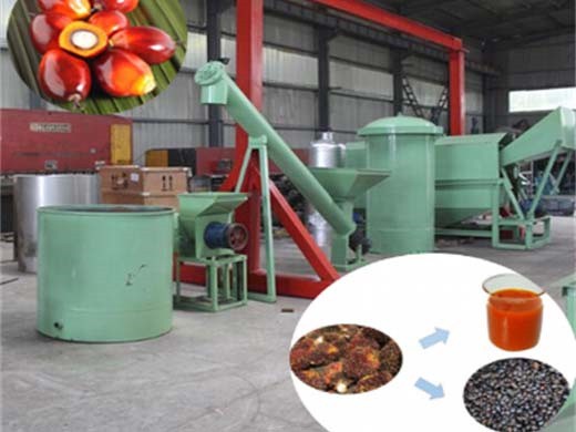 Máquina de molienda de aceite de palma de prensa de aceite de palmiste de China Perú