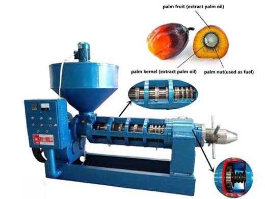 Máquina procesadora de aceite de palma 200kg/h 5tph Perú