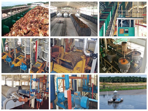 maquinaria de procesamiento de aceite de fruta de palma cruda cpo de malasia